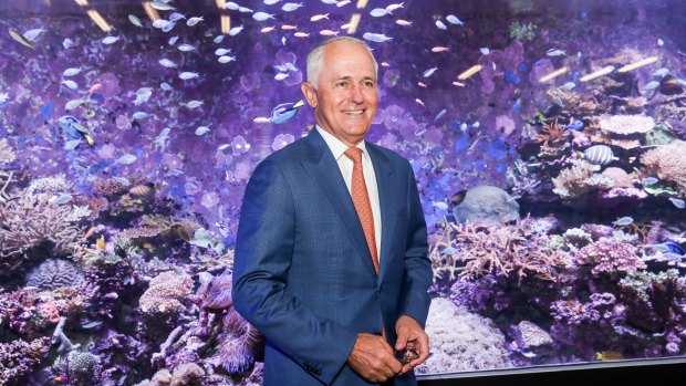 Australian Prime Minister Malcolm Turnbull at the Australian Institute of Marine Science where he announced a $60 million plan to save the Great Barrier Reef earlier this year.