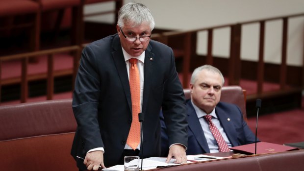 Centre Alliance senators Rex Patrick and Stirling Griff during Question Time in the Senate last year. 
