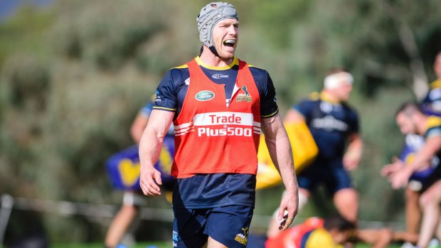 Challenge: Brumbies back-rower David Pocock at training on Tuesday.