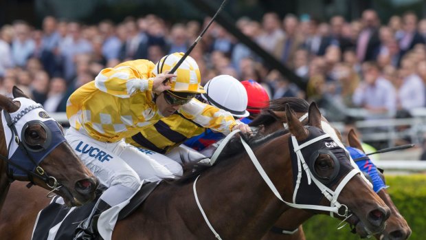 Under the radar: Comin' Through has targeted the Makybe Diva Stakes.