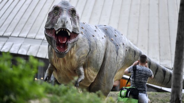 A man stands in front of a life-size replica of a Tyrannosaurus rex dinosaur in the city centre of Bochum, Germany.