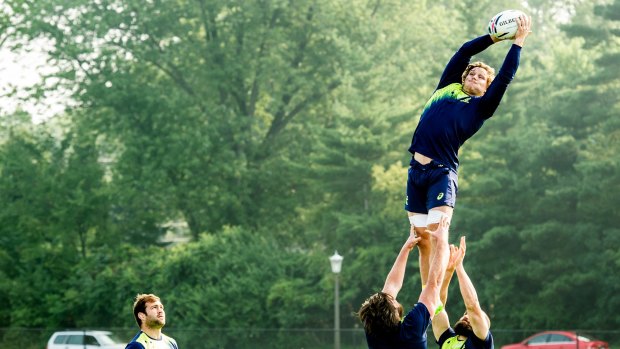 Jumping to it: Michael Hooper goes up for a lineout as the Wallabies train at Stinson Rugby Field, University of Notre Dame, Indiana, in 2015. 