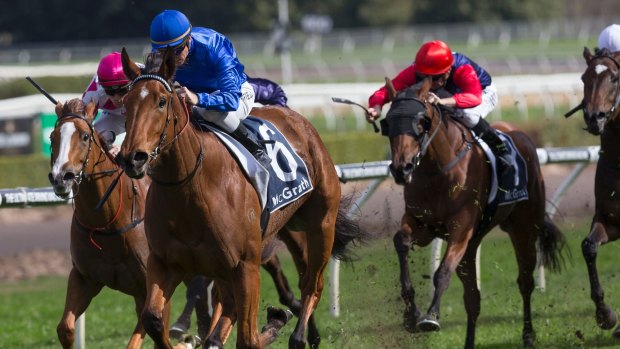 Flying: Alizee looks to add to her group 1 haul in the Futurity at Caulfield on Saturday