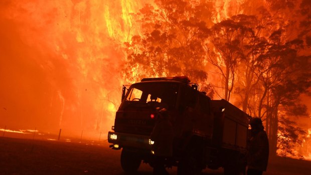 The ongoing cost of the bushfires will have long-lasting impacts on the NSW economy, a report has found.