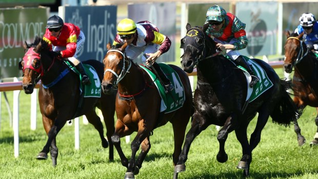 Scone hosts a seven-race card on Monday with the track improving to Good 4.