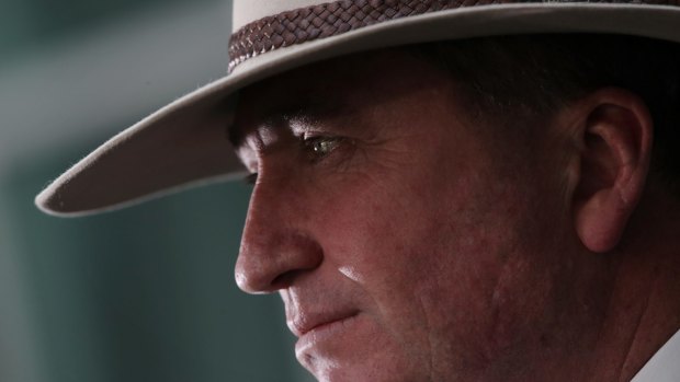 As agriculture minister Barnaby Joyce dismissed claims by animal rights activists about the live export trade.