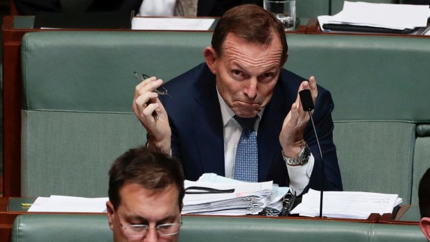 To former prime minister Tony Abbott, the Labor Party is a haven for secular progressives.