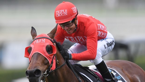 Defending champ: Redzel is one of three equal favourites for The Everest on Saturday.
