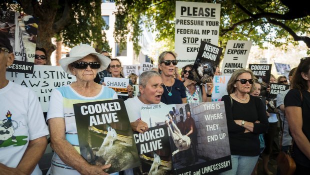 Protestors calling for the end of live exports earlier this year.