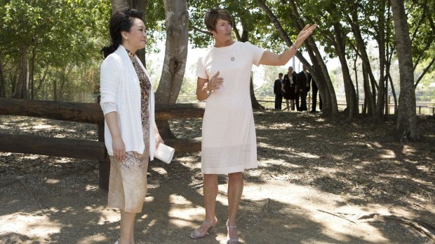 Margie Abbott, greets Peng Liyuan, wife of Chinese President Xi Jinping at the Lone Pine Koala Sanctuary as part of the G20 in Brisbane in 2014.  