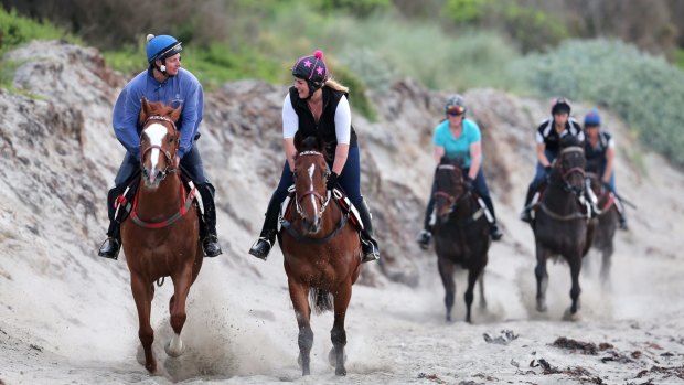 The dunes and beaches around Warrnambool have been used for decades to train horses, but local opponents say its use increased dramatically over recent years. 