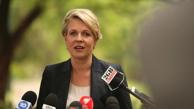 Tanya Plibersek addresses the media on Wednesday.