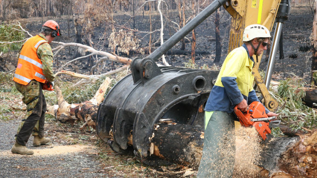 Army Reserve engineers work alongside local contractors to clear bushfire-damaged trees.