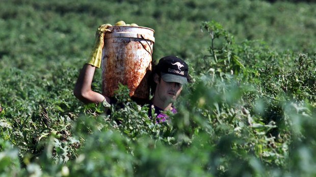 Harvest work is often physically demanding and located far from urban centres.