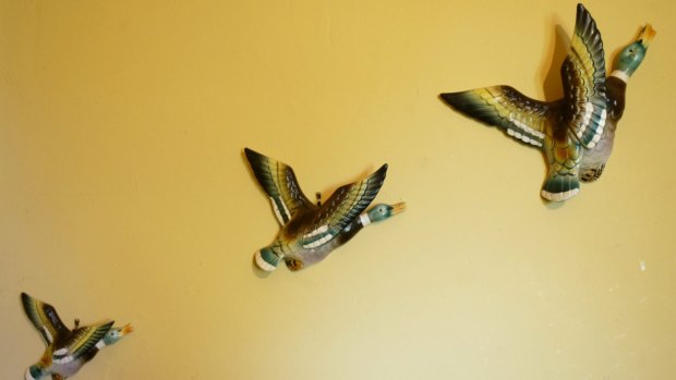 Every kitchen in Australia seemed to have these three ceramic flying ducks on the wall in the '70s.