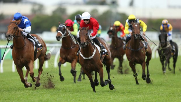 Eight races jump at Wyong on Wednesday.