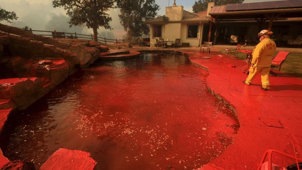 A firefighter walks around a swimming pool sprayed by phos-chek fire retardant after an air tanker made a pass while fighting a wildfire near Lakeport.