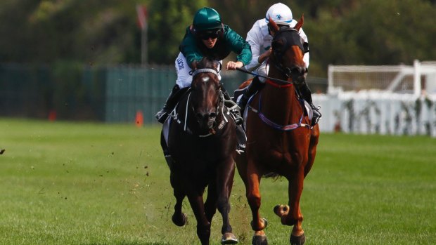 Pigeonholed: Mark Newnham has been desperate to find the right race with Lanciato.