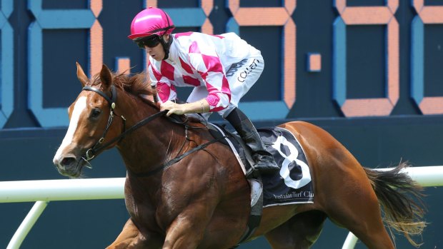 Champagne Cuddles will target the Sydney Stakes consolation.