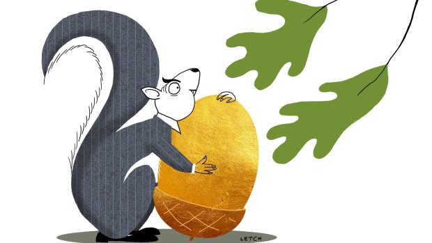 Squirrelling away retirement savings via a self-managed super fund is a big responsibility and takes a great deal of work. Illustration: Simon Letch