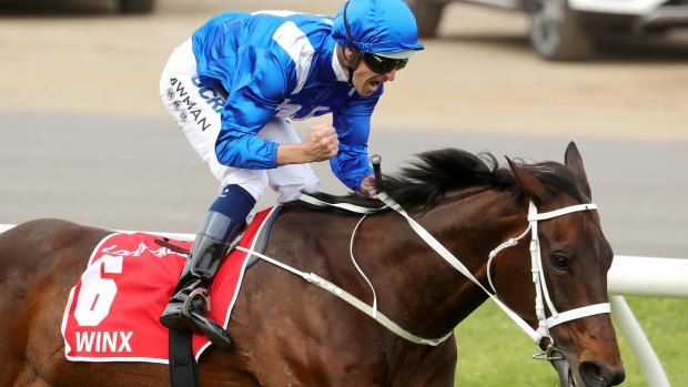 Winning streak: the racing world is salivating at the prospect of a clash between Winx and boom colt The Autumn Sun.