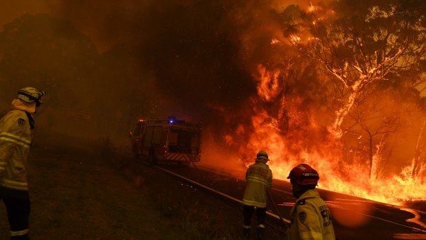 Fire and Rescue attempt to hold the Gospers Mountain blaze from crossing the Bells Line of Road.