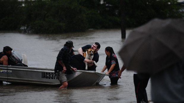 People and animals being rescued as severe flooding hits Lismore in northern NSW on Monday.