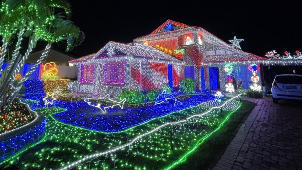 This home had set up 100,000 LED Christmas lights and a light “river” filled with animals.