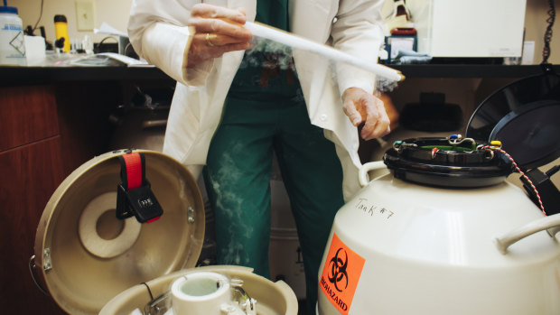 An embryologist transfers frozen embryos at the National Embryo Donation Centre in Knoxville, Tennessee.