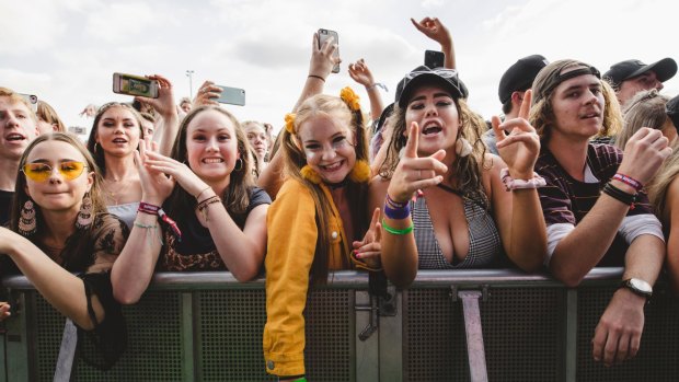 Festival goers at Groovin the Moo in Canberra. The landmark pill testing trial nearly didn't happen.