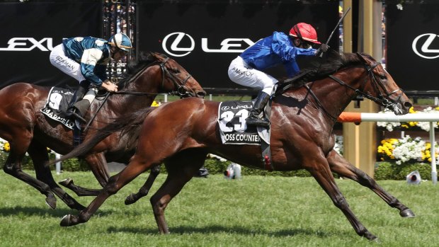 Cross Counter wins the 2018 Melbourne Cup.