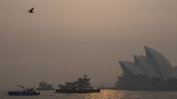 Smoke blankets Sydney Harbour on Tuesday.