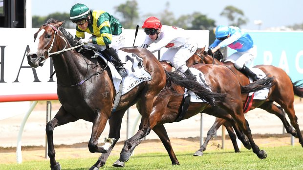 Caring and sharing: Kosciuszko favourite  Care To Think . . . trainer Matt Dunn has promised half of his percentages from the race will go to drought aid. 