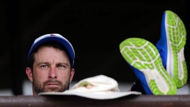 Bolter: Matthew Wade is in contention for a berth in Australia's Ashes squad.