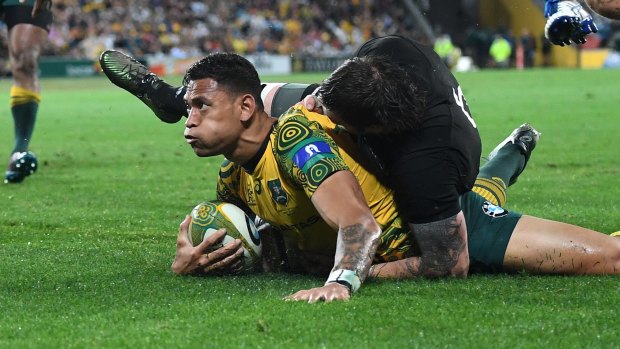No room for complacency: The Wallabies outscored the All Blacks by 80-67 across five halves of rugby last year.