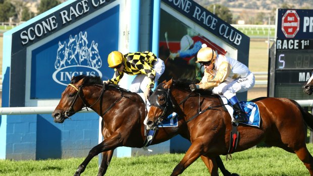 It's an eight-race card in the horse capital of Australia on Monday.