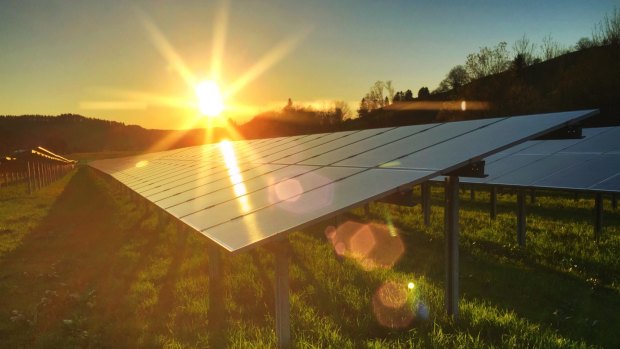 Solar farms are rolling out at a record rate and voters would support much larger levels of renewable energy, surveys have found.