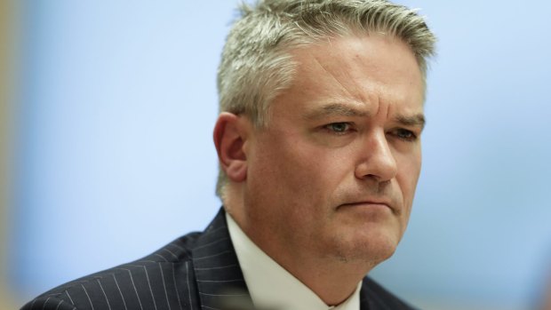Minister for Finance Mathias Cormann says suggestions the Liberal Party is behind the fake polling are "just crazy".