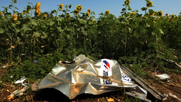 Sunflowers surround the MH17 crash site on the outskirts of Rassypnoye, in eastern Ukraine. 