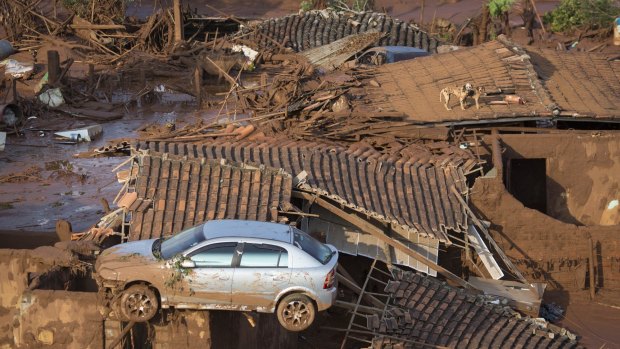 A car and two dogs are seen on the roof of destroyed houses in the small town of Bento Rodrigues after the Samarco dam collapse. 
