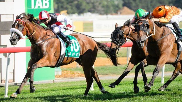Paul Jones star gelding Almost Court takes out the Canberra Cup in March.
