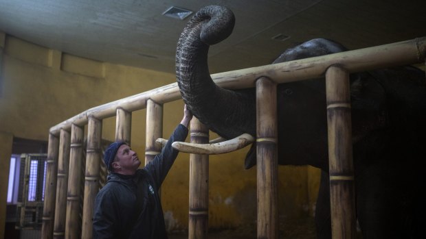 Animal keeper Kirilo Trantin comforts an elephant at the Kiev Zoo in Kyiv, Ukraine. 