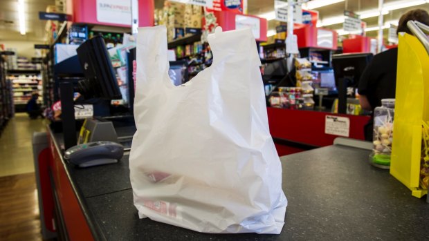 Thicker department store plastic bags are now in the sights of authorities who are investigating a voluntary phase-out.