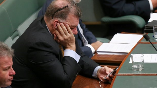 Liberal MP Craig Kelly checks his phone during a Question Time in 2015.