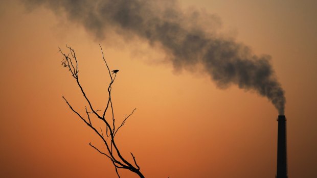 A crow sits on a dead tree and smoke emits from the chimney of a factory as the sun sets in Delhi.