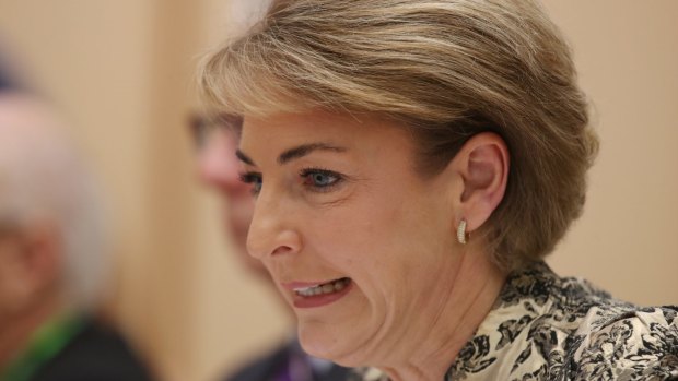 Small business minister Michaelia Cash said small businesses are concerned funding from banks has dried up. 