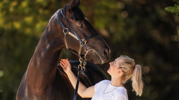 Melbourne Cup contender Persan.