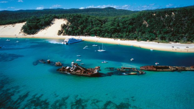 Moreton Island's Tangalooma Wrecks.