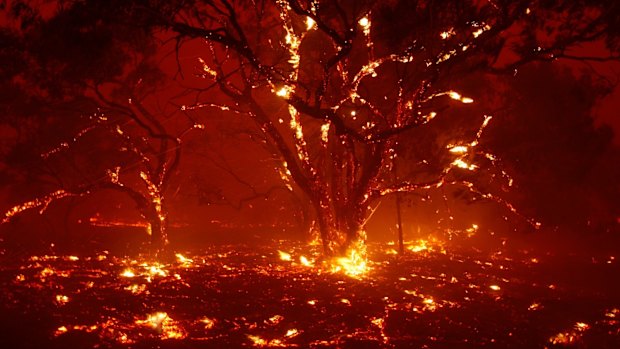 Photographs show spot fires breaking ahead of the Clear Range Fire along the Monaro Highway this afternoon near Bredbo. Photographs by Dean Sewell