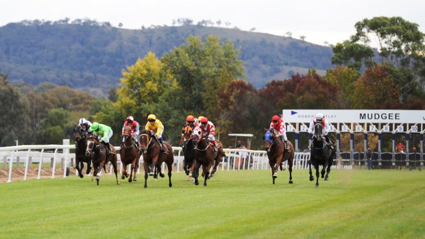 Big day out: the Mudgee Cup is the feature on an eight-race card.